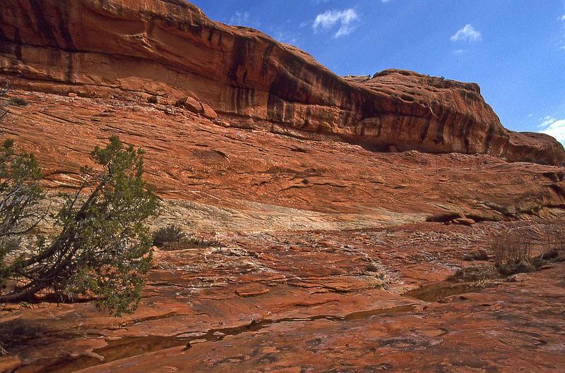 2001-04 Utah Trip 032 Canyon on Cedar Mesa.jpg
